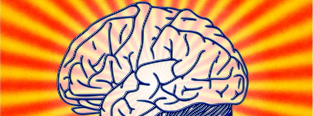 why-vanity-numbers-are-successful